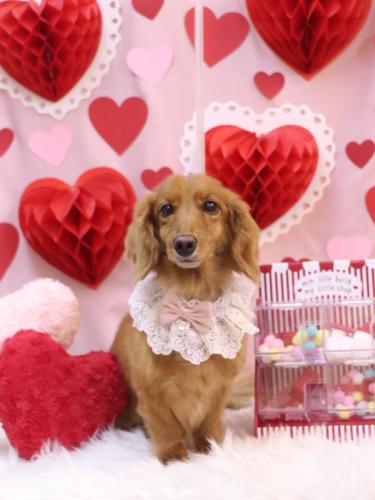 20240225しろくん